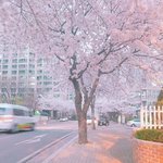 다들 예쁜 배경<b>화면</b> 공유하자!