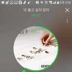 [세븐틴] 초동한정포스터있잖아