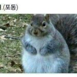[ㅋㅋㅋㅋㅋ] 나 세계과자<b>할인점</b> 알바하는데 ㅋㅋㅋㅋㅋ