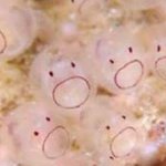 [프로듀스] 팀명짓는거 그만하고싶은사람<b>일루</b>오ㅓ