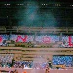 [EXO] +수정 공추 눌러줘)엑소디움 닷 카드섹션