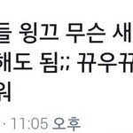 [프로듀스] 지훈이 <b>저장</b> 다음으로 새로운거 오늘했대