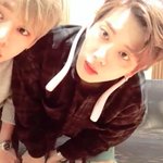 [BAP] <b>미어캣</b>