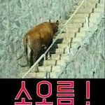 [드루와] 너무 예뻐도 살기 힘든듯