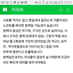 우리고양이 범백인거같아