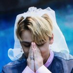 [세븐틴] 현타 온 최한솔ㅋㅋㅋㅋㅋㅋㅋㅋㅋㅋㅋ