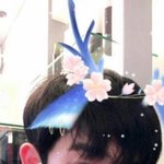[프로듀스] <b>형</b>섭이 ㅍ트 개죤만하다는거 보고나서부터 우울함이 끊이질않아