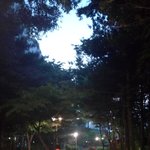 이것이 한국의 부부모습이다