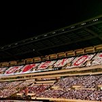 [EXO] 콘섵짤 랜덤으로 <b>뿌림</b>