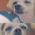우리 학교 어떤애가 자기 언니 <b>연습</b>생이라 하는데