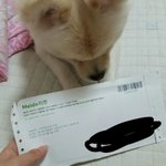 [EXO] 야 여기년한테 <b>원가</b>양도 받고 사기당한줄알았는데