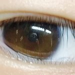 [댓글부탁해] 톡선에눈사진<b>대체어</b>케하는거임?