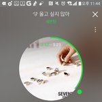 [세븐틴] 나 늦덕이라 이제 아나앨범샀는데