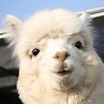 [임영민] 내일