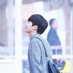 [<b>정세운</b>] 포뇨 뉴과질