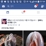 ㅅㅂ 페북조카<b>드릅</b>다