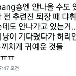 [프로듀스] 이대휘<b>배진영</b> 둘이 존귀네ㅋㅋ
