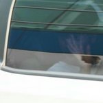 [프로듀스] 아직 <b>창문</b>열고 인사할줄 모르는 진영이