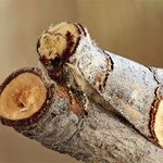 <b>대자연</b> 속 숨은 그림 찾기