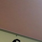 [꼭조언부탁] <b>방안</b>에서 바퀴벌래 찾는방법좀알려주세요ㅠㅠ