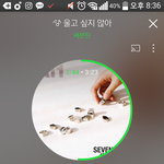 [세븐틴] 얘들아! 우리 붐붐 1000만뷰 됬어 ㅠㅠ