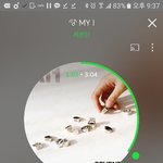 [세븐틴] ㅅㄷ)다들 꿈<b>콘</b> 얼마에 가니...?