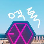 [EXO] 나년 콘 갔다와서 갤러리 보는데 ㅈㄴ 잘찍었네