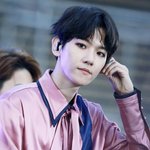 [백현] 엑소디움 닷 백<b>현</b> 과질