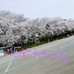 [댓글부탁해] 이차방정식 <b>풀</b>이 <b>문</b>제도와즈ㅓ (쉬워!