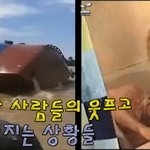 멍청한 사람들의 웃프고 배꼽빠지는 상황들