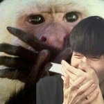 [조언부탁] 뾰루지 나면