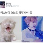 [시우민] 시우민 오늘 무대에서 혼현 나옴ㅋㅋㅋ