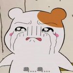 [댓글부탁해] 내신으로는 좋은대학<b>못</b><b>가</b>????