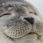 [댓글부탁해] 제가 예지 능력이 있나봐요