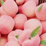 [드루와] 나 태권도 관장님이랑 완전 어색해짐;;