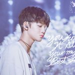 [프로듀스] 배진영이 봄날해서 찾아듣다가
