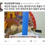 [프로듀스] ㅋㅋㅋㅋㅋㅋ<b>보살</b>픽