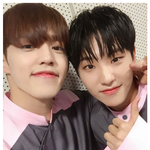 [세븐틴] 안녕하세요 엔놔놔팬입니다