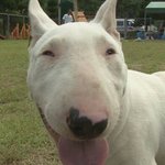 [<b>zzz</b>_못] 으앜