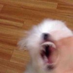 <b>요증</b>잠ㅈㄴ많음