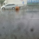 [드루와] 학교마치고ㅋㅋㅋㅋㅋ