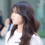 <b>전생</b>에 멍뭉이 의심되는 아이돌