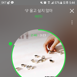 [세븐틴] <b>본방</b>만 참여하는건 안되는거지...?