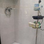 파보이겨낸 허스키 <b>식이</b>!