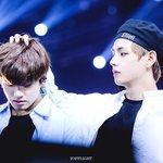 [방탄소년단] 쓰담쓰담 쁘이쁘이