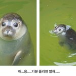 [꼭조언부탁] 남친과 대화가 안돼요