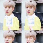 [BAP] 청량한 댛니