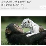 니넨 최애 길에서 마주치면.뭐<b>라부</b>를꺼임