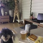 야간에 <b>혼</b><b>술</b>인듯 <b>혼술</b>아닌
