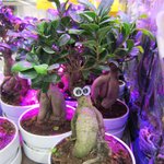 모든 <b>사물</b>에 눈이 달려있다면?